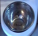 Steel Bowl, Inside Toilet