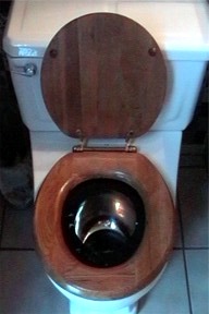 toilet with steele bowl inside to train cat